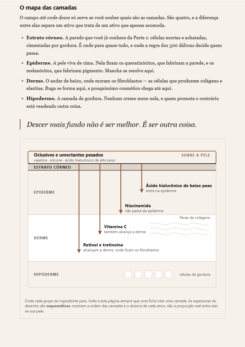 Página da Parte 3 com o corte da pele em camadas